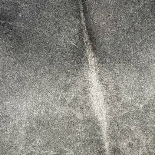 Closeup of this XL, Brazilian Cowhide, showing gray with a darker shade of gray on the shoulder, and white down the spine (BRGR222)