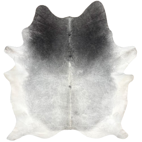 XL Two Tone Gray Brazilian Cowhide:  light gray on the back, dark gray on the shoulder, and white on the belly, hind shanks, and part of the fore shanks - 8'4" x 6'9" (BRGR226)