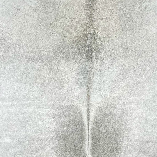 Closeup of this XXXL, Two Tone Gray, Brazilian Cowhide, showing very light gray with darker gray down both sides of the spine on the back, and darker gray down the spine on the shoulder (BRGR229)