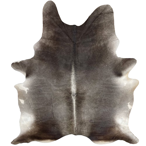 XL Dark Gray Brazilian Cowhide:  dark gray with hints of dark brown mixed in on the butt and shoulder, white down part of the spine, and some off-white spots on the belly - 8'2" x 6'3" (BRGR230)