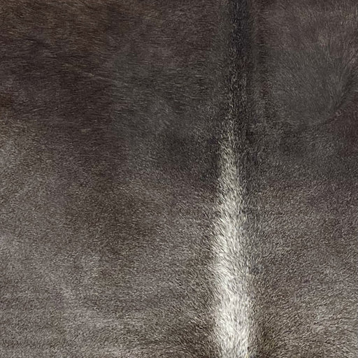 Closeup of this XL, Dark Gray, Brazilian Cowhide, showing dark gray, with hints of dark brown mixed in on the shoulder, and white down part of the spine (BRGR230)