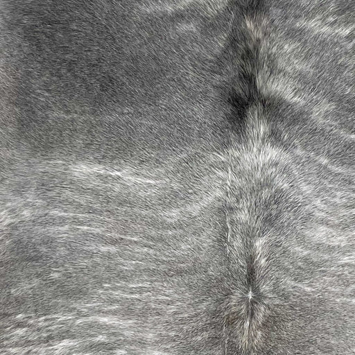 Closeup of this Gray and White, Brazilian, Brindle Cowhide, showing gray, with white, brindle markings and darker gray on the shoulder (BRGR231)