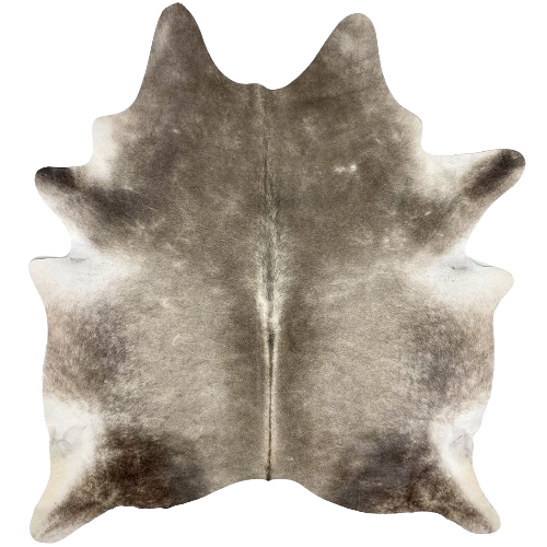 Two Tone Gray Brazilian Cowhide:  light gray on the back with darker gray and white down the spine, and darker gray on the shoulder and butt - 6'9" x 5'9" (BRGR232)