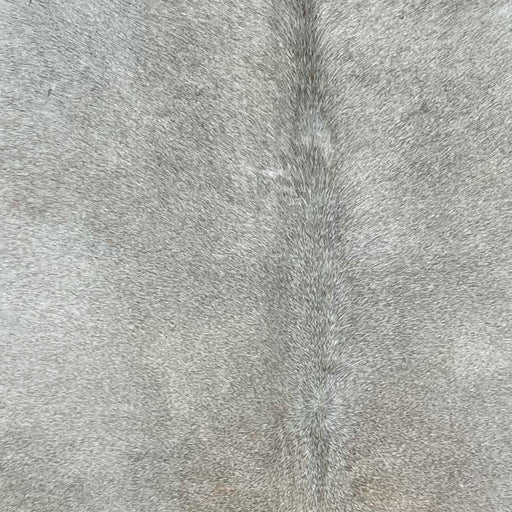 Closeup of this Light Gray, Brazilian Cowhide (BRGR233)