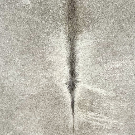 Closeup of this Gray and White, Brazilian Cowhide, showing gray, with white down both sides of part of the spine, a few white strips, and dark gray down part of the spine (BRGR234)