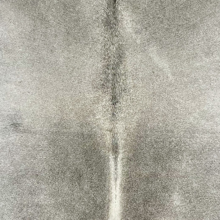 Closeup of this Brazilian Cowhide, showing gray, with white down part of the spine (BRGR238)