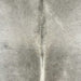 Closeup of this Brazilian Cowhide, showing gray, with white down part of the spine (BRGR238)