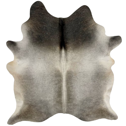 Gray and Black Brazilian Cowhide: light gray on the back and down the spine, darker gray down both sides of the spine and on the butt and shanks, and black on the shoulder - 7' x 5'6" (BRGR268)