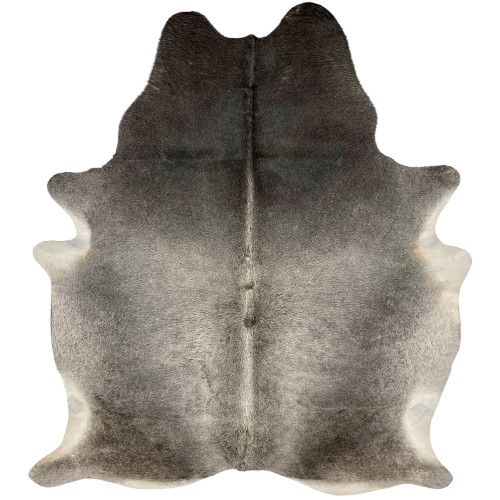 Two Tone Gray Brazilian Cowhide: lighter gray on the middle of the back, belly, shanks, and down the spine, dark gray on the butt and shoulder, and off-white on part of the belly - 7'2" x 5'5" (BRGR269)