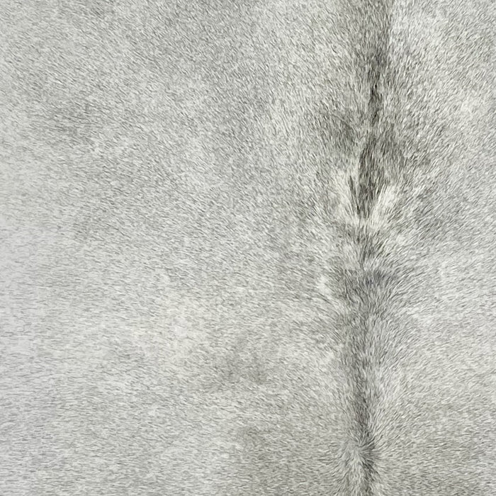 Closeup of this Brazilian Cowhide, showing light gray, with darker gray down the spine  (BRGR270)