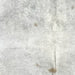 Closeup of this Large Brazilian Cowhide, showing light with a few small, brown spots (BRGR272)