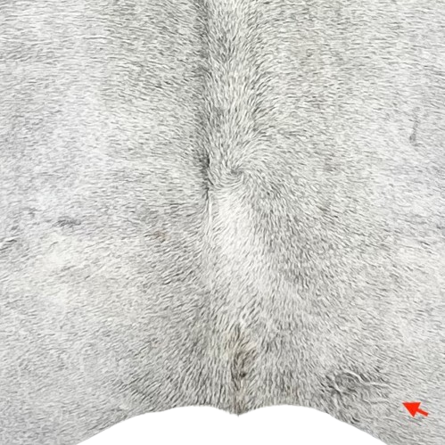 Closeup of this Large Light Gray Brazilian Cowhide, showing one brand mark on the right side of the butt (BRGR272)