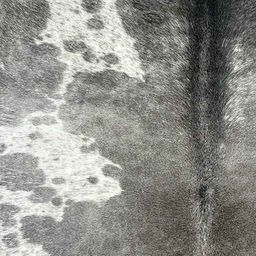Closeup of this Speckled Brazilian Cowhide, showing white with gray speckles and large and small spots (BRGR283)