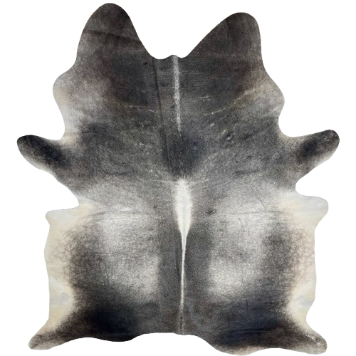 XL Dark Gray Brazilian Cowhide: dark gray, with gray on the back, white down the spine, and off-white on the belly - 8'1" x 6' (BRGR285)