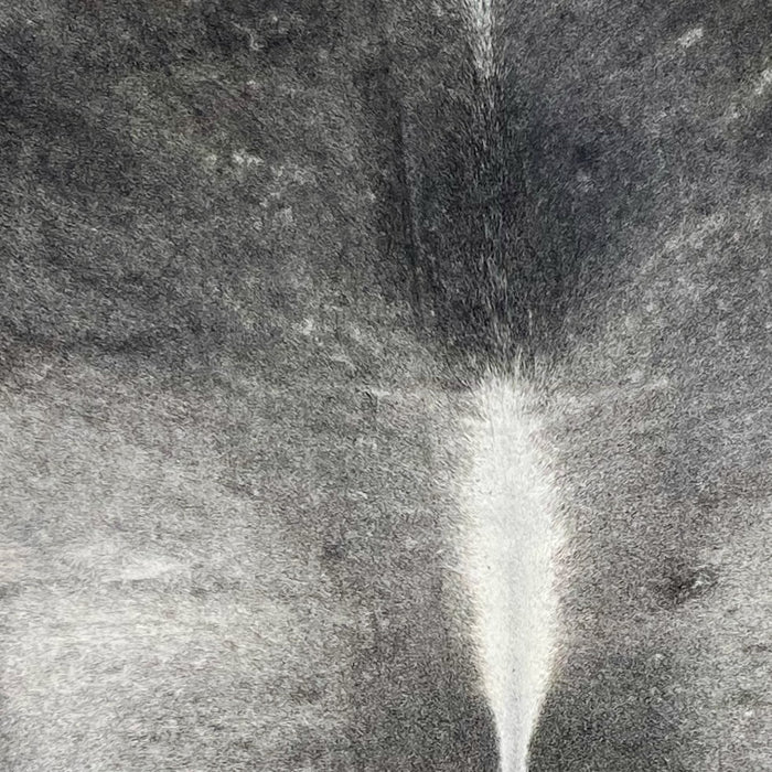 closeup of this Brazilian Cowhide, showing dark gray, with light gray on the back, and white down the spine  (BRGR285)