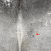 closeup of this Large Brazilian Cowhide, showing gray, with some small, white spots, and one brand mark on the right side of the back (BRGR287)