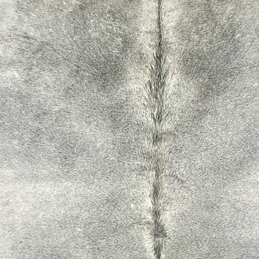 closeup of this XL Brazilian Cowhide, showing light gray with darker gray down part of the spine (BRGR288)