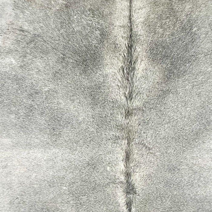 closeup of this XL Brazilian Cowhide, showing light gray with darker gray down part of the spine (BRGR288)