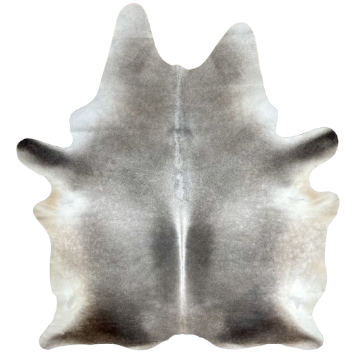 Large Two Tone Gray Brazilian Cowhide: light gray, with darker gray down both sides of a white spine, and on the butt and part of the shanks - 7'10" x 6'1" (BRGR289)