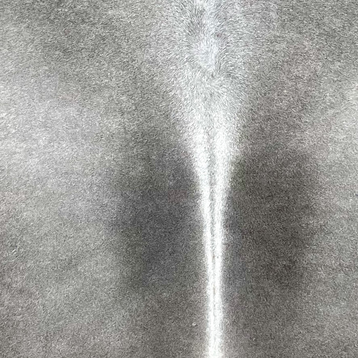 closeup of this Large Brazilian Cowhide, showing light gray, with darker gray down both sides of a white spine (BRGR289)