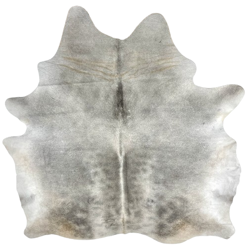 Gray Brazilian Cowhide: has a mix of light gray and medium gray, with hints of brown on the butt, and one brand mark on the left side of the butt - 7'3" x 6'5" (BRGR290)