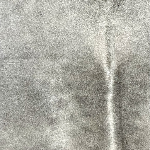 closeup of this Brazilian Cowhide, showing a mix of light gray and medium gray (BRGR290)