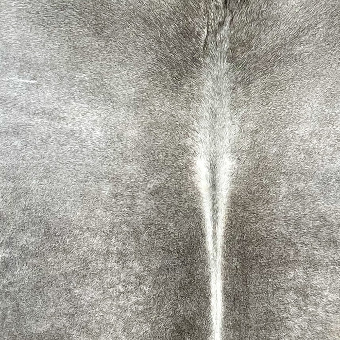 closeup of this Brazilian Cowhide, showing a mix of light gray and medium gray, and white down the spine (BRGR292)