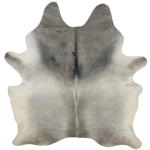 Two Tone Gray Brazilian Cowhide: light gray, with darker gray on the shoulder, off-white on the belly, and one brand mark on the right side of the butt - 7' x 5'10" (BRGR293)