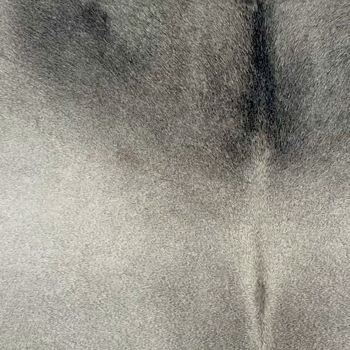 closeup of this Brazilian Cowhide. showing light gray, with darker gray on the shoulder (BRGR293)