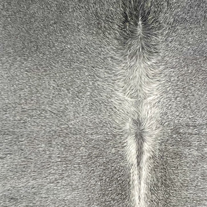 closeup of this Large Brazilian Cowhide, showing gray, with white down part of the spine (BRGR294)