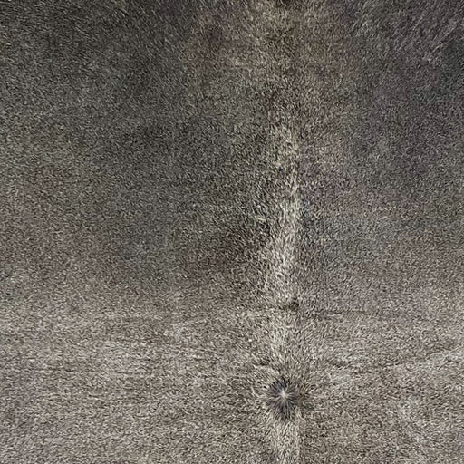 closeup of this Large Brazilian Cowhide, showing medium gray with dark gray on the shoulder  (BRGR295)