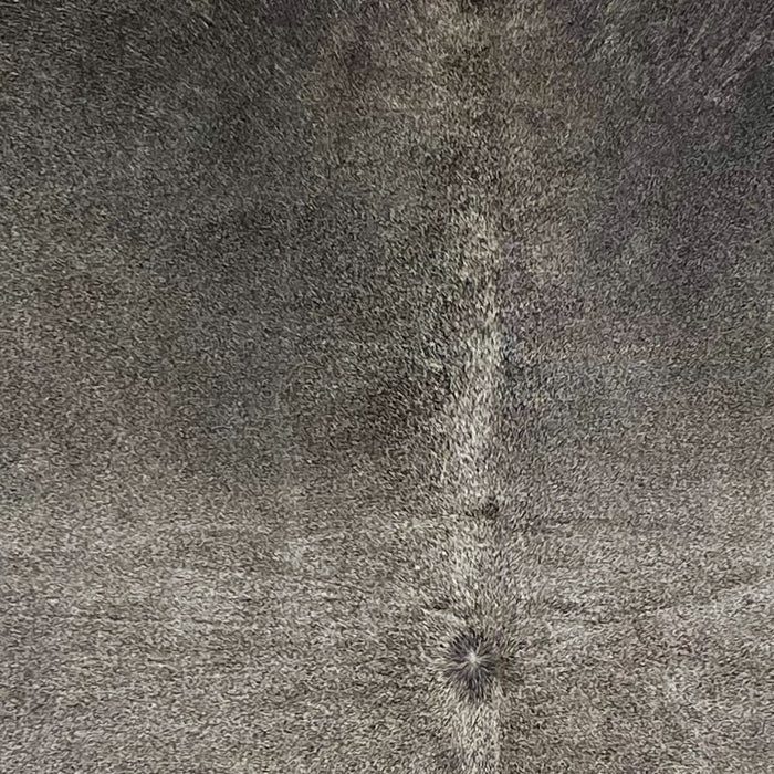 closeup of this Large Brazilian Cowhide, showing medium gray with dark gray on the shoulder  (BRGR295)