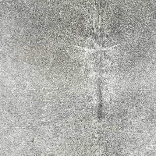 closeup of this Large Cowhide, showing gray (BRGR296)