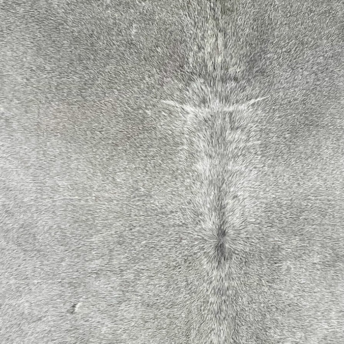 closeup of this Large Cowhide, showing gray (BRGR296)