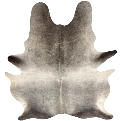 XL Two Tone Gray Brazilian Cowhide: light gray on the back, and darker gray on the shoulder, butt, and shanks - 8' x 6'2" (BRGR299)