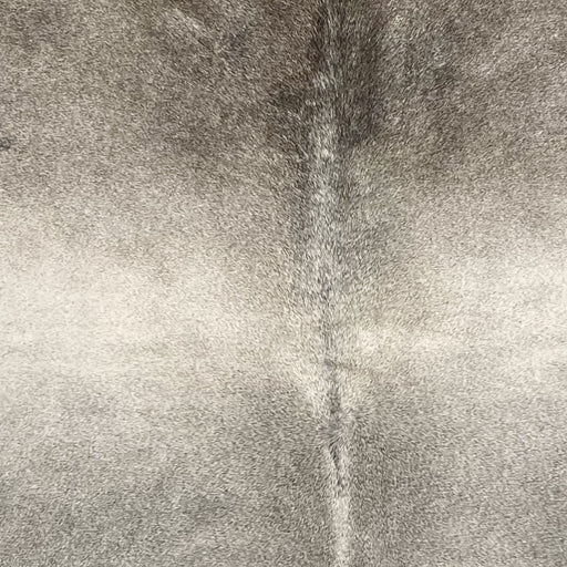 Closeup of this XL Brazilian Cowhide, showing light gray on the back, and darker gray on the shoulder (BRGR299)