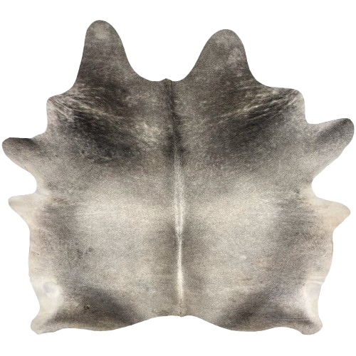 Large Two Tone Gray Brazilian Cowhide:    light gray on the back, and darker gray on the shoulder and butt, and off-white on the belly  7'6" x 6'7" (BRGR300)