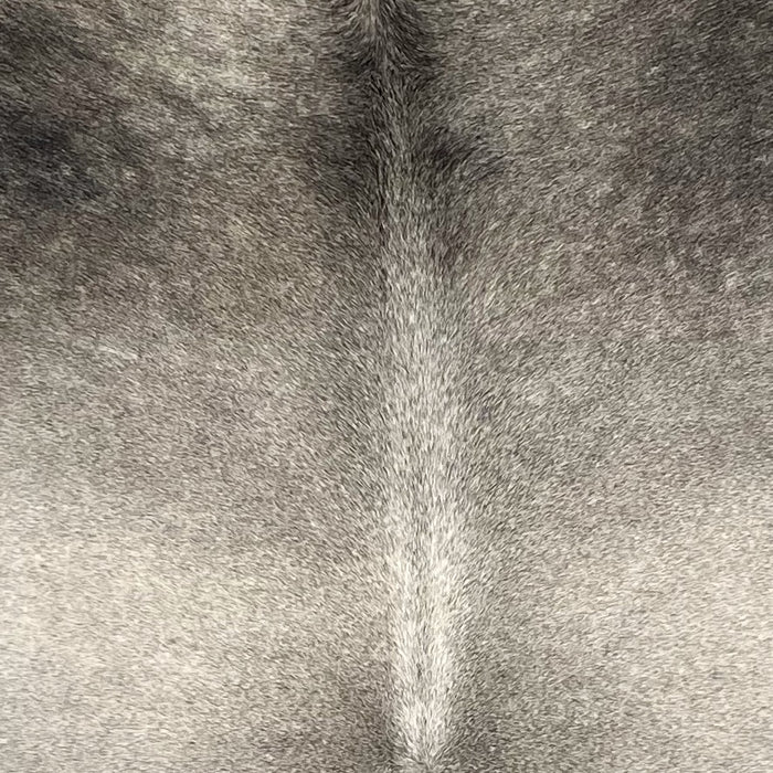 Closeup of this Large Brazilian Cowhide, showing light gray on the back, and darker gray on the shoulder (BRGR300)