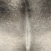 Closeup of this Large Brazilian Cowhide, showing light gray on the back, and darker gray on the shoulder (BRGR300)