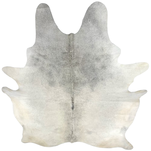 XL Light Gray and Ivory Brazilian Cowhide: ivory and light gray, with off-white on the butt, belly, and hind shanks - 8'3" x 6'4" (BRGR301)