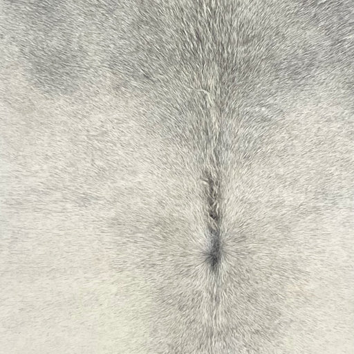 Closeup of this extra-large Brazilian Cowhide, showing ivory and light gray (BRGR301)