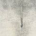 Closeup of this extra-large Brazilian Cowhide, showing ivory and light gray (BRGR301)