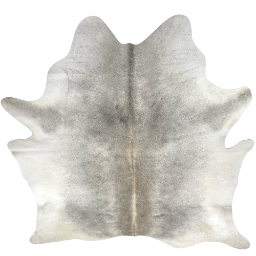 Large Gray Brazilian Cowhide: gray with white on the belly, hind shanks, and part of the fore shanks - 7'5" x 6'1" (BRGR302)