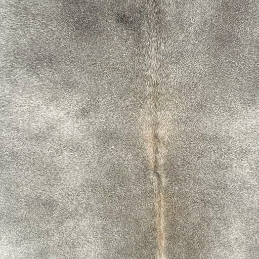 Closeup of this Brazilian Cowhide, showing gray (BRGR302)