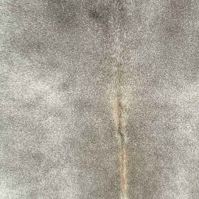 Closeup of this Brazilian Cowhide, showing gray (BRGR302)