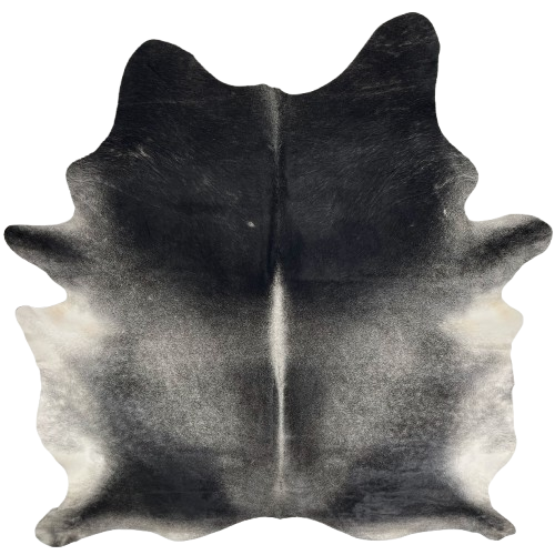 Large Dark Gray and Black Brazilian Cowhide: has a mix of dark gray and black, black on the shoulder, lighter gray down the spine, and white and gray on the belly - 7'10" x 6'7" (BRGR303)