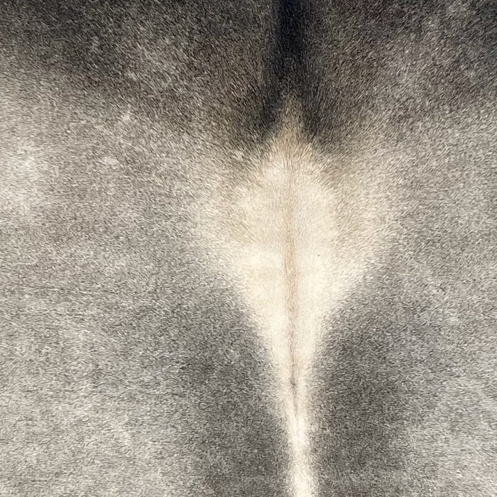 Closeup of this XL Brazilian Cowhide, showing light gray with darker gray along the spine, and off-white down the spine  (BRGR304)