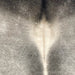 Closeup of this XL Brazilian Cowhide, showing light gray with darker gray along the spine, and off-white down the spine  (BRGR304)