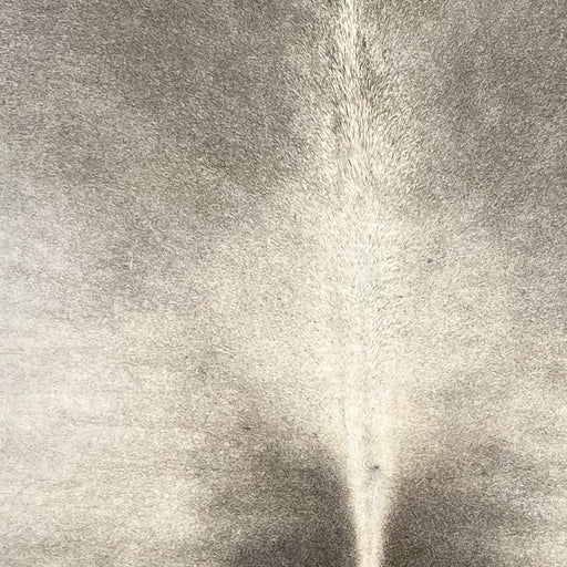 Closeup of this XL Brazilian Cowhide, showing light gray with dark gray down both sides of the spine, and light taupe on the shoulder (BRGR306)