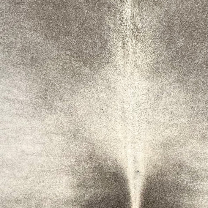 Closeup of this XL Brazilian Cowhide, showing light gray with dark gray down both sides of the spine, and light taupe on the shoulder (BRGR306)